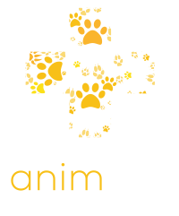 Animath