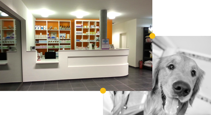 Visite virtuelle du centre vétérinaire Animath